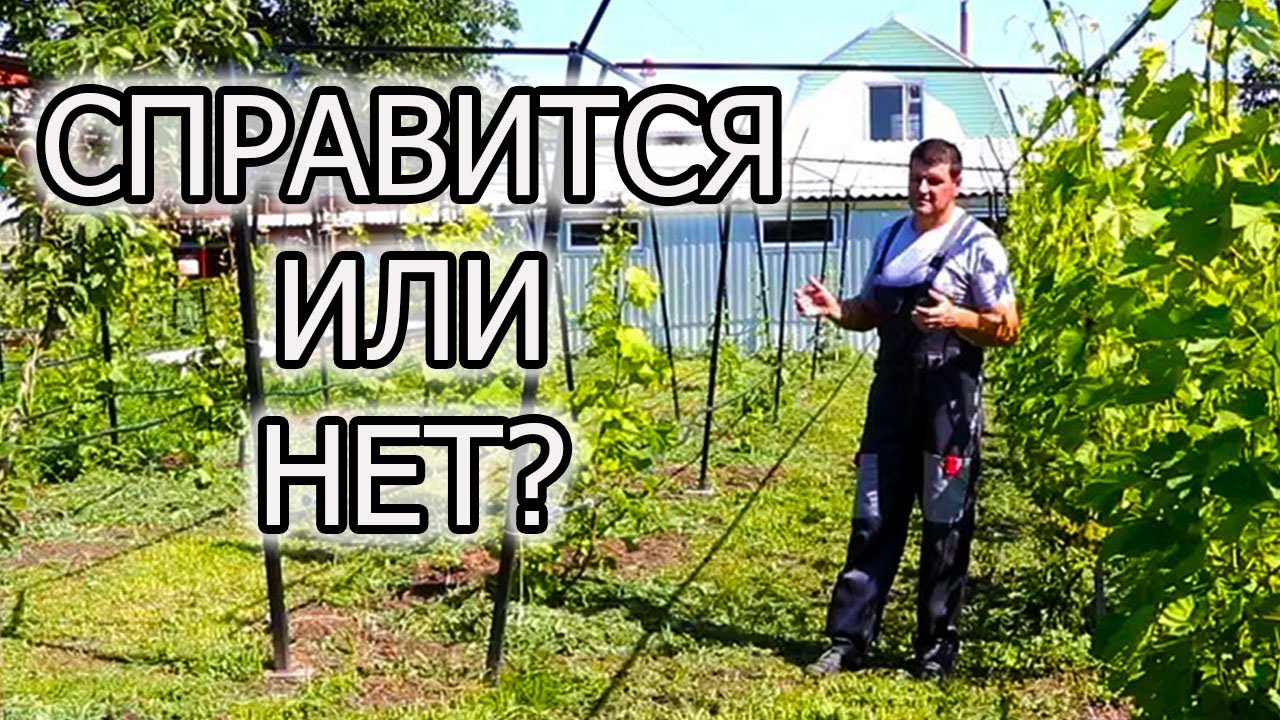 Капельный полив, ДОБРО или ЗЛО на участке?