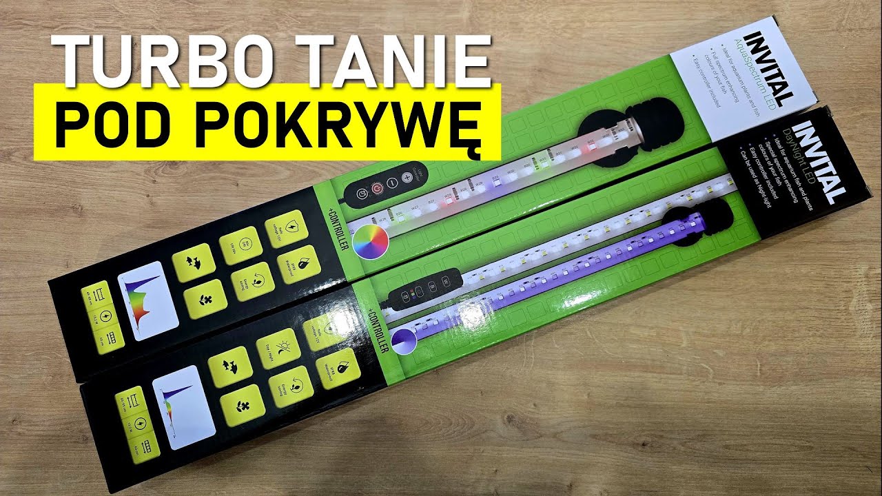 Invital LED DayNight i AquaSpectrum - oświetlenie pod pokrywę