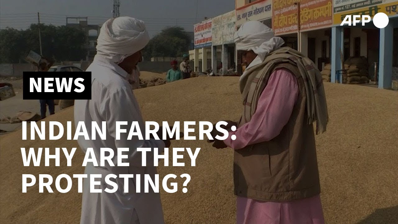 'Extremely worried': Indian farmers on why they are protesting against new laws | AFP