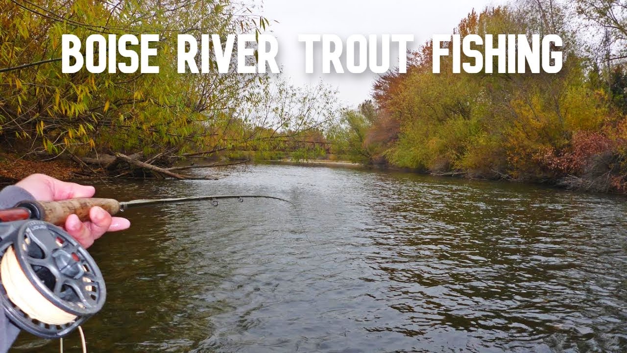 This Urban River is a Fly Fishermans Paradise!