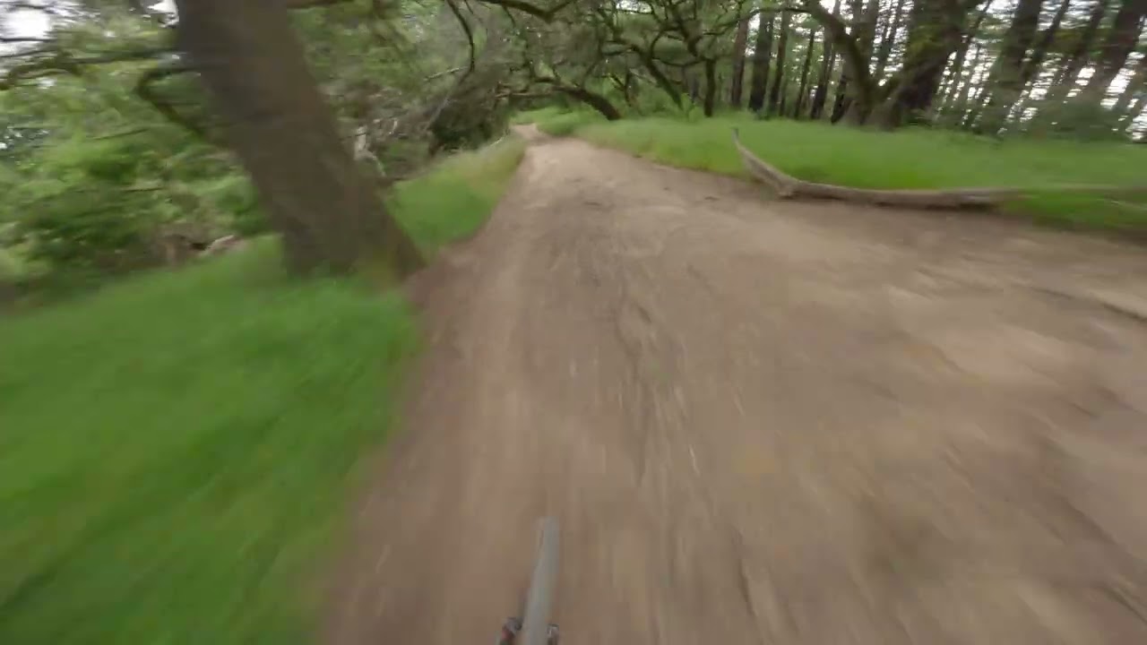 Big Trees | Joaquin Miller Mountain Biking