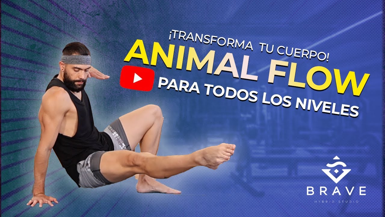 Программа ANIMAL FLOW для всех уровней.