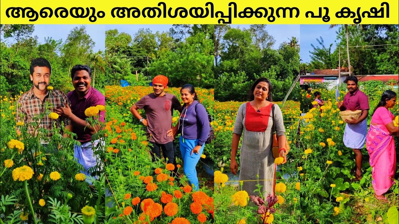 Amazing Variety Farmer