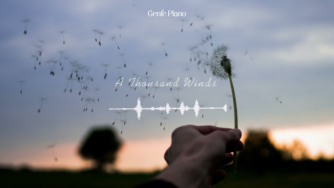 내 영혼 바람 되어(A Thousand Winds) - 김효근(HyoKeun Kim) 피아노&첼로 Piano&Cello 힐링음악