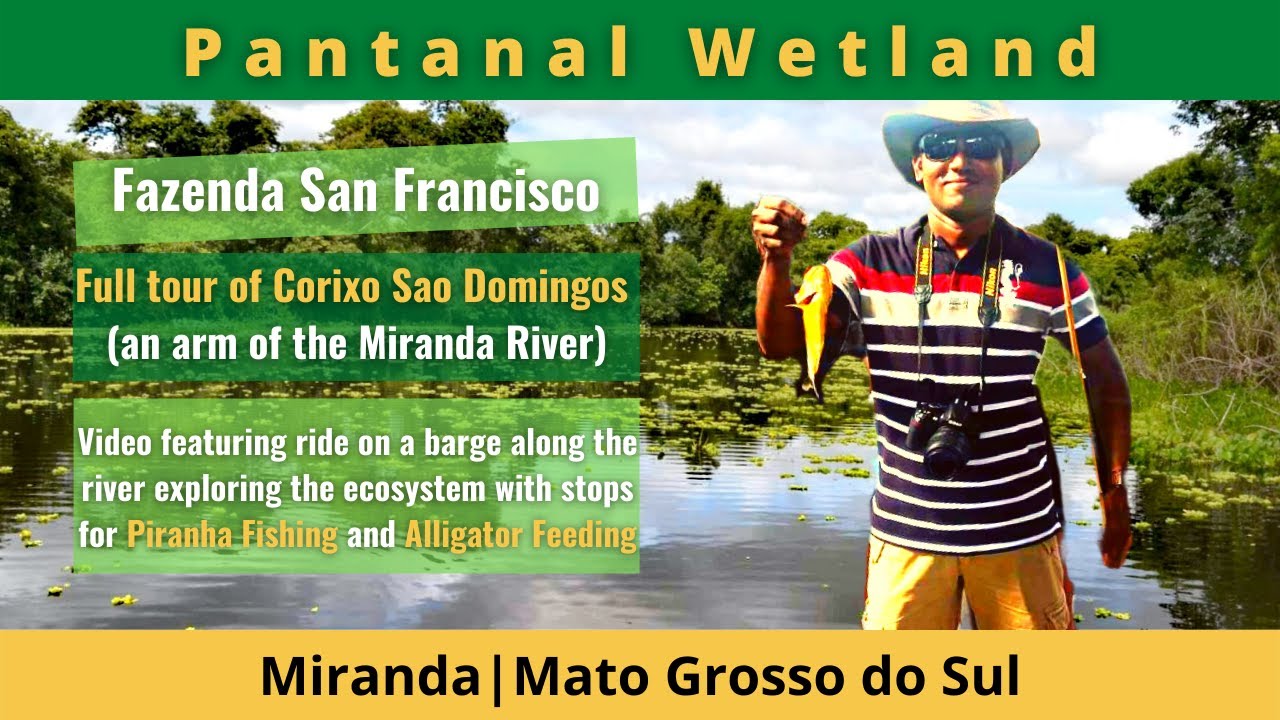 Brazil Travel - Corixo S&atilde;o Domingos & Piranhas Fishing, Pantanal