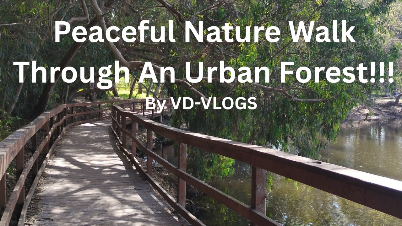 Peacefull Nature Walk Through Urban Forest!!!