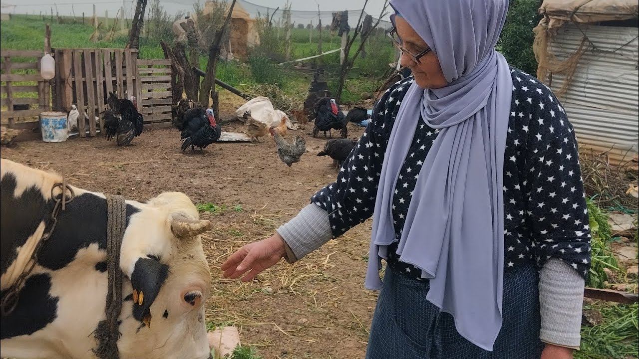شركت معاكم هاد الخير لي عطاه لينا الله 