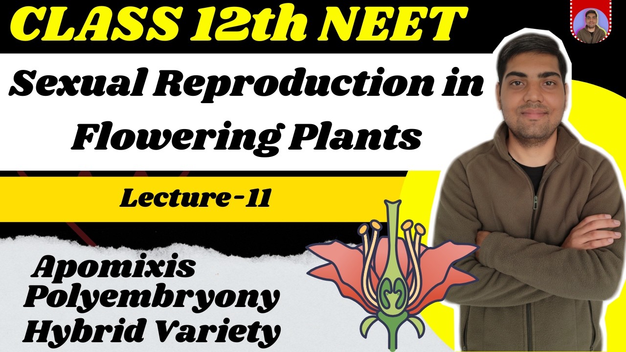 Sexual Reproduction in Flowering Plants | Class 12 | Lecture 11 | Apomixis and Polyembryony NEET