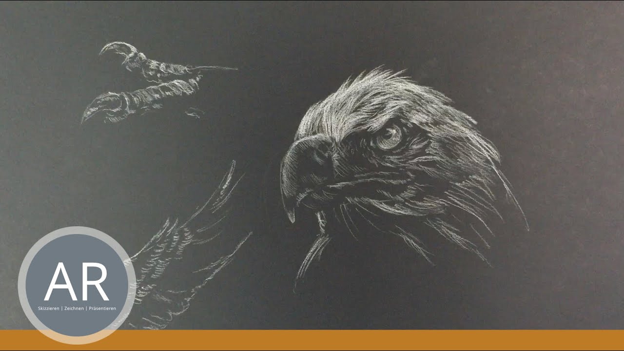 Lerne schnell Tiere zeichnen. Tierstudien Tierzeichnungen einfach lernen. Akademie Ruhr Zeichenkurse