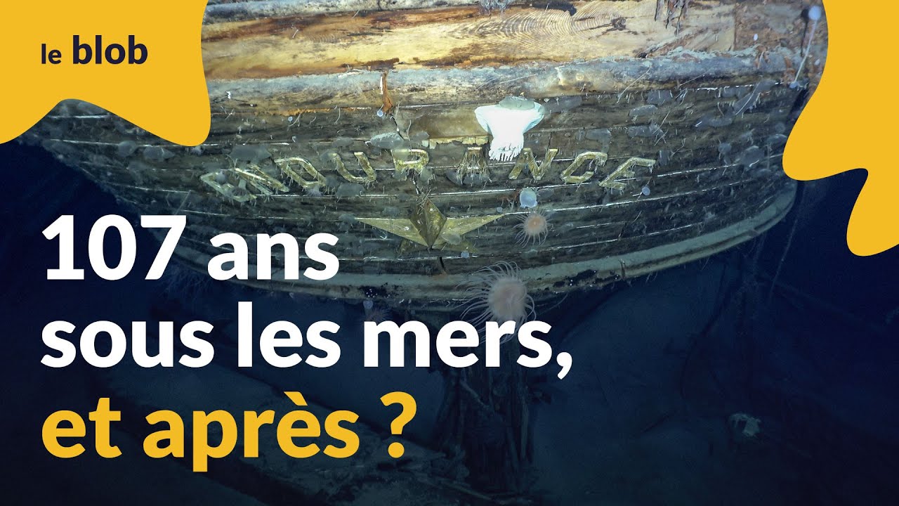 Que va devenir l&rsquo;&eacute;pave de l&rsquo;Endurance, 107 ans apr&egrave;s son naufrage en Antarctique ? | Actu de science