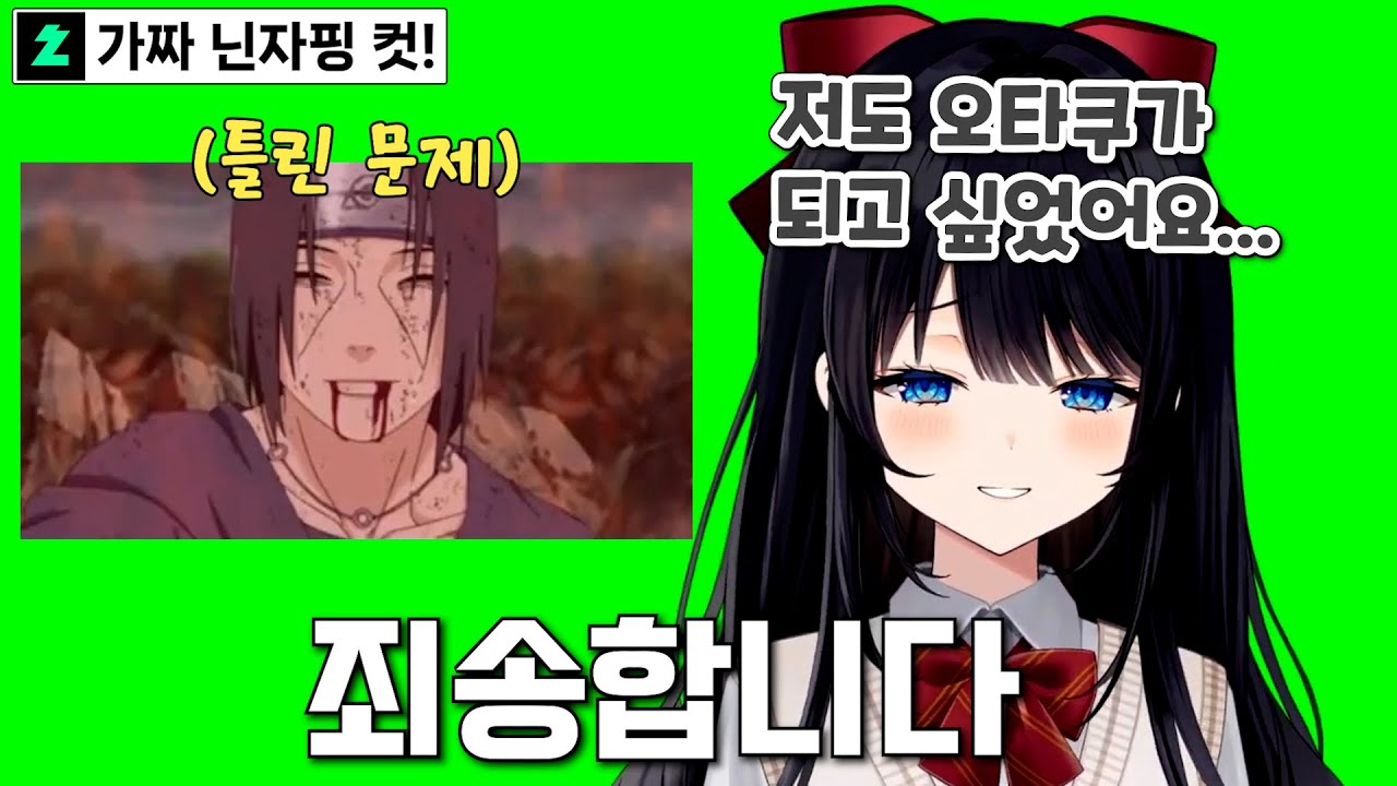 애니 퀴즈에서 나루토 문제 틀리고 사과하는 닌자핑 히나