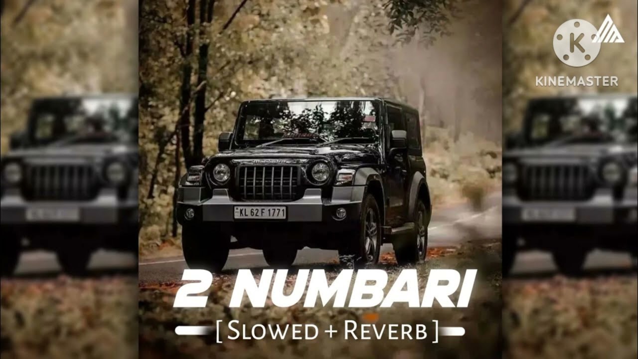 2 Numbari slowed Reverb  Song #viralvideo #@NitinBhai10 #newsong 