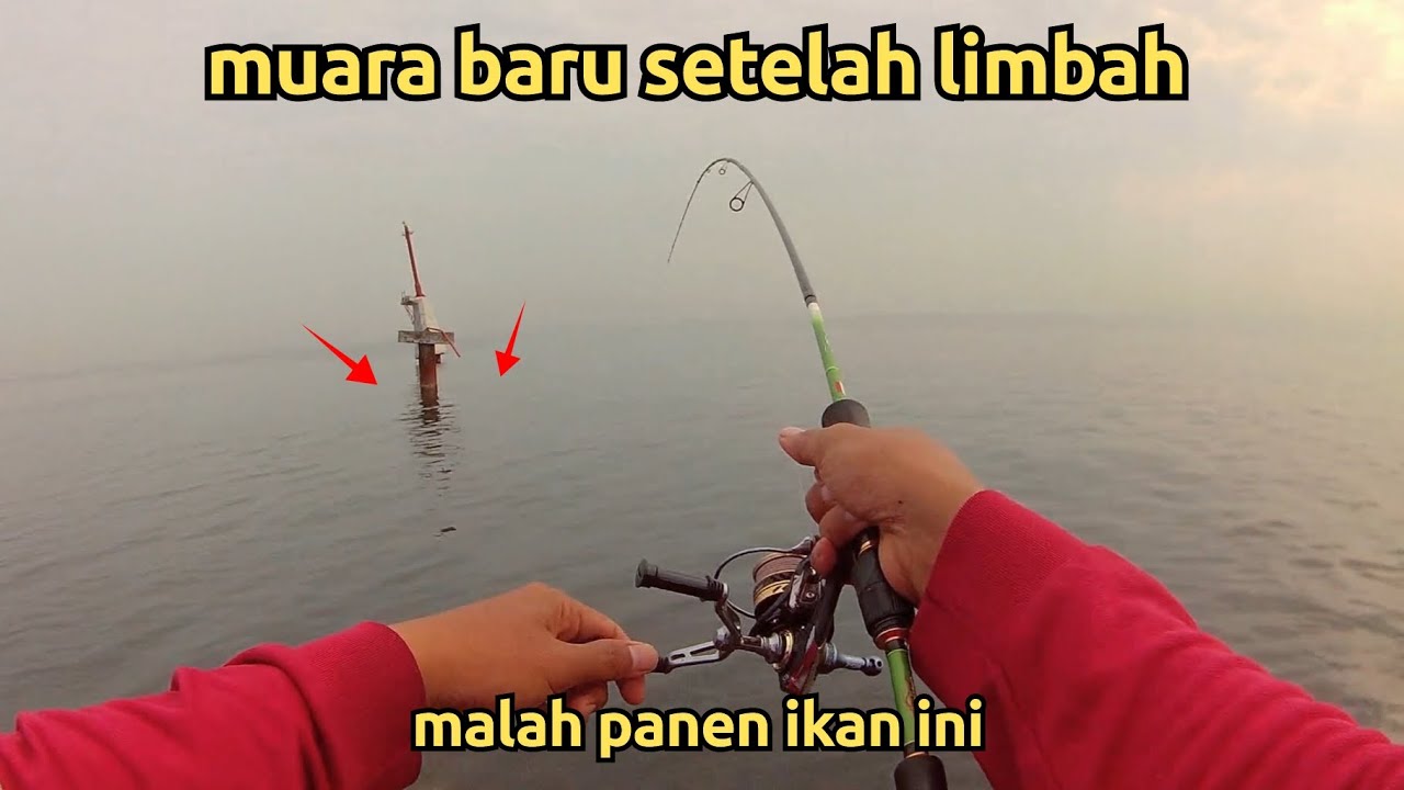 Muara baru hari ini‼️mancing sehabis limbah malah panen ikan ini , MANCING MUARA BARU 