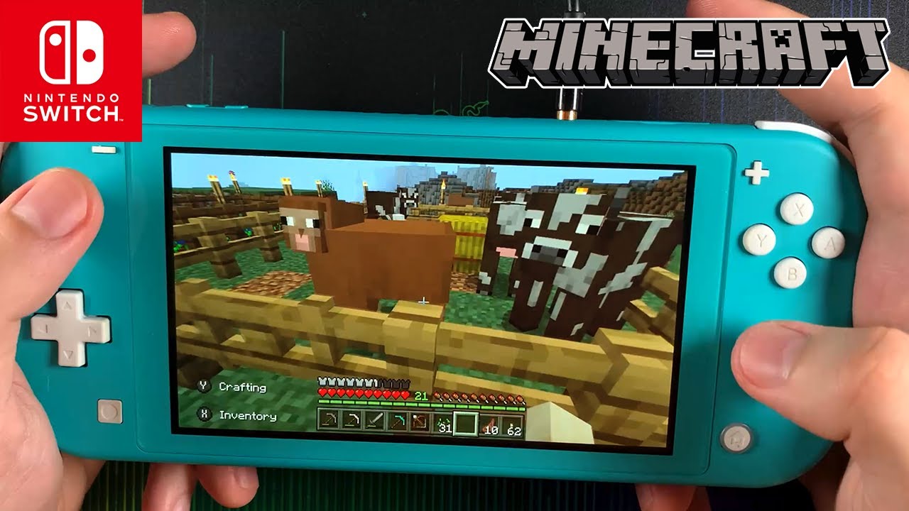 My bro play Minecraft on the Nintendo Switch Lite - #5