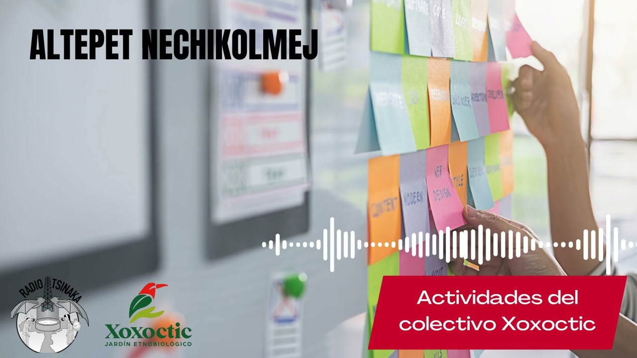 Programa 9: Actividades del colectivo Xoxoctic