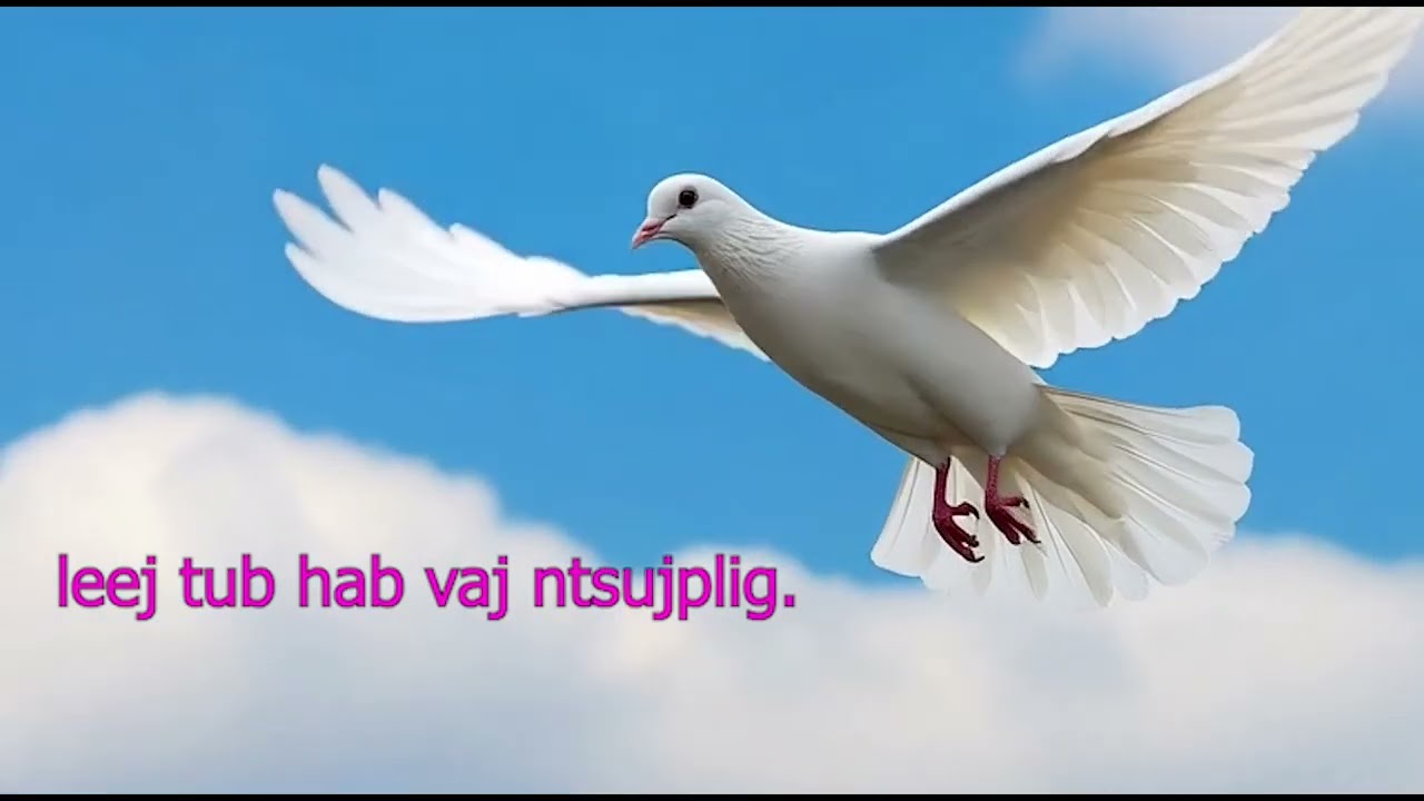 nkauj 100 zaj19 ( karaoke)