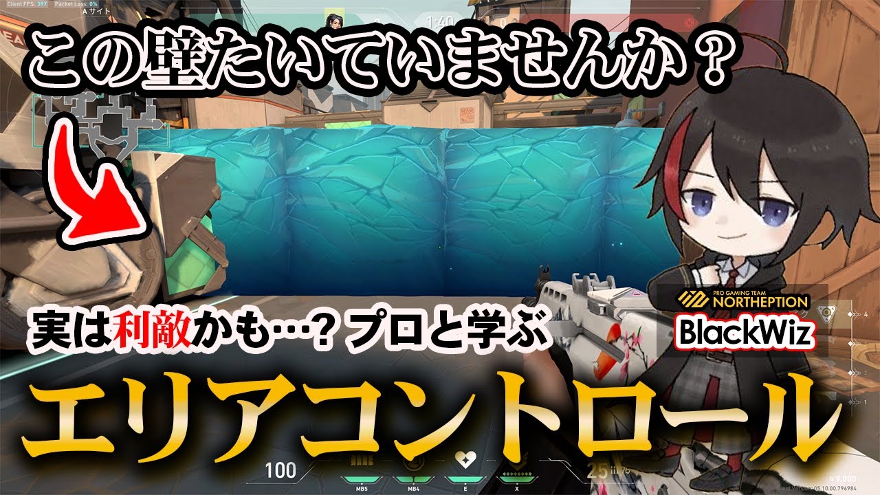 【Valorant】実は利敵かも？！現役プロから学ぶエリアコントロール【BlackWiz 切り抜き】