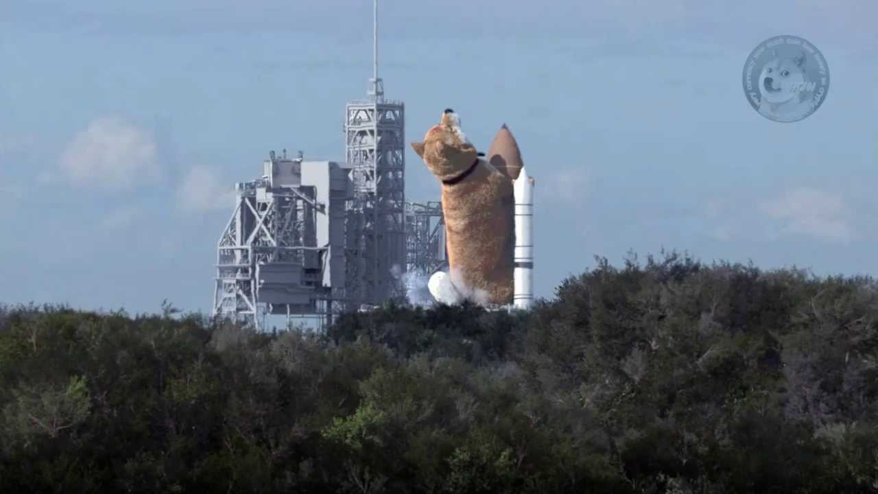 To the moon - doge launch.