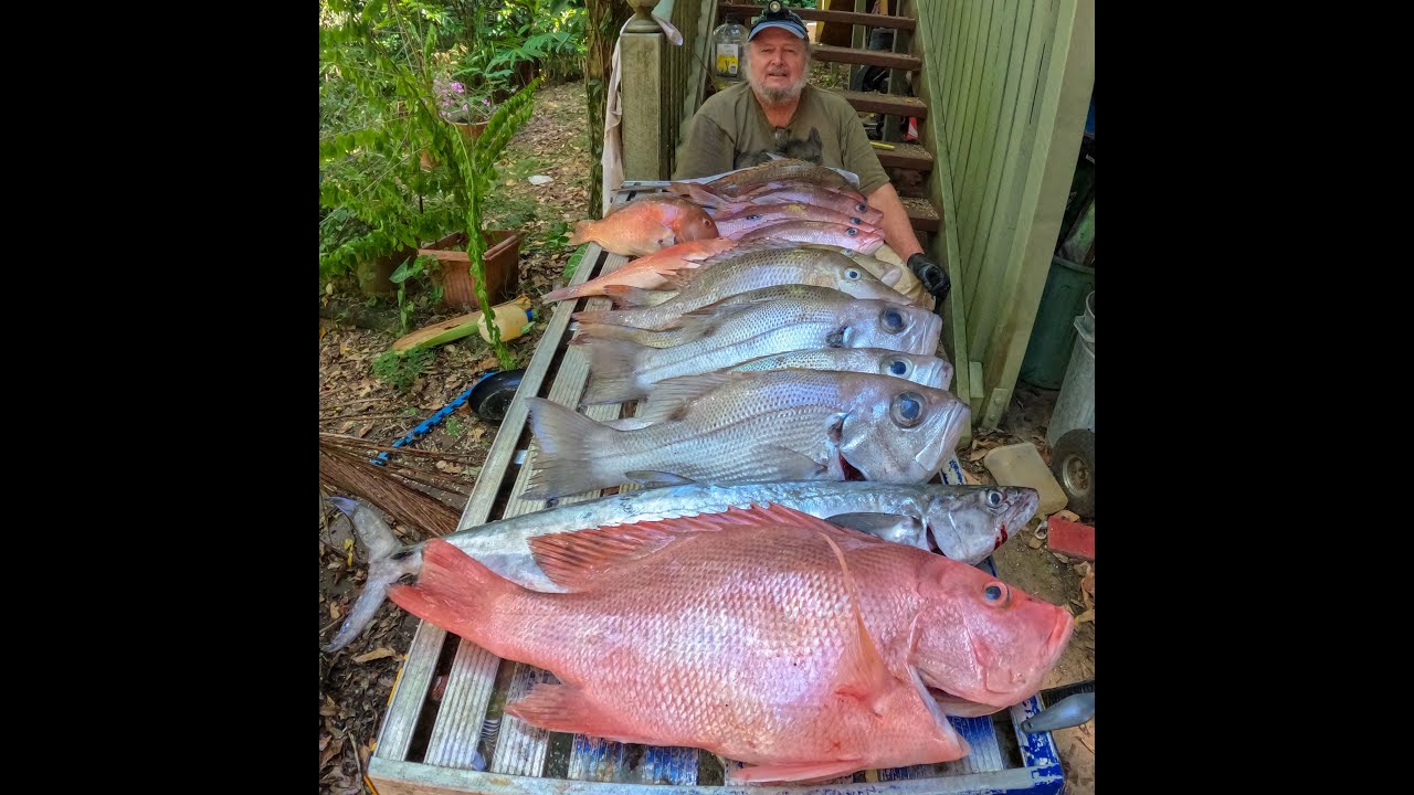 Fishing inshore Sunshine Coast 19 4 2022