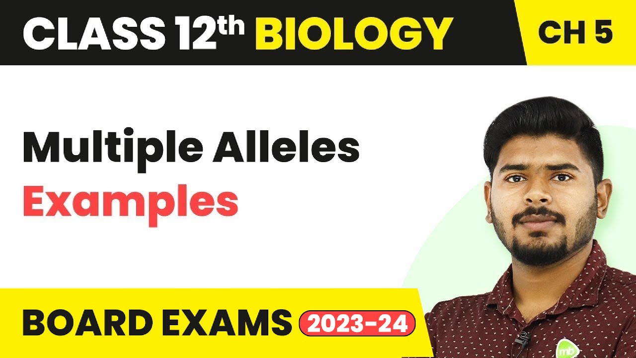 Multiple Alleles (Examples: Part 2) | Class 12 Biology ChAPTER 5 NCERT/NEET (2022-23)