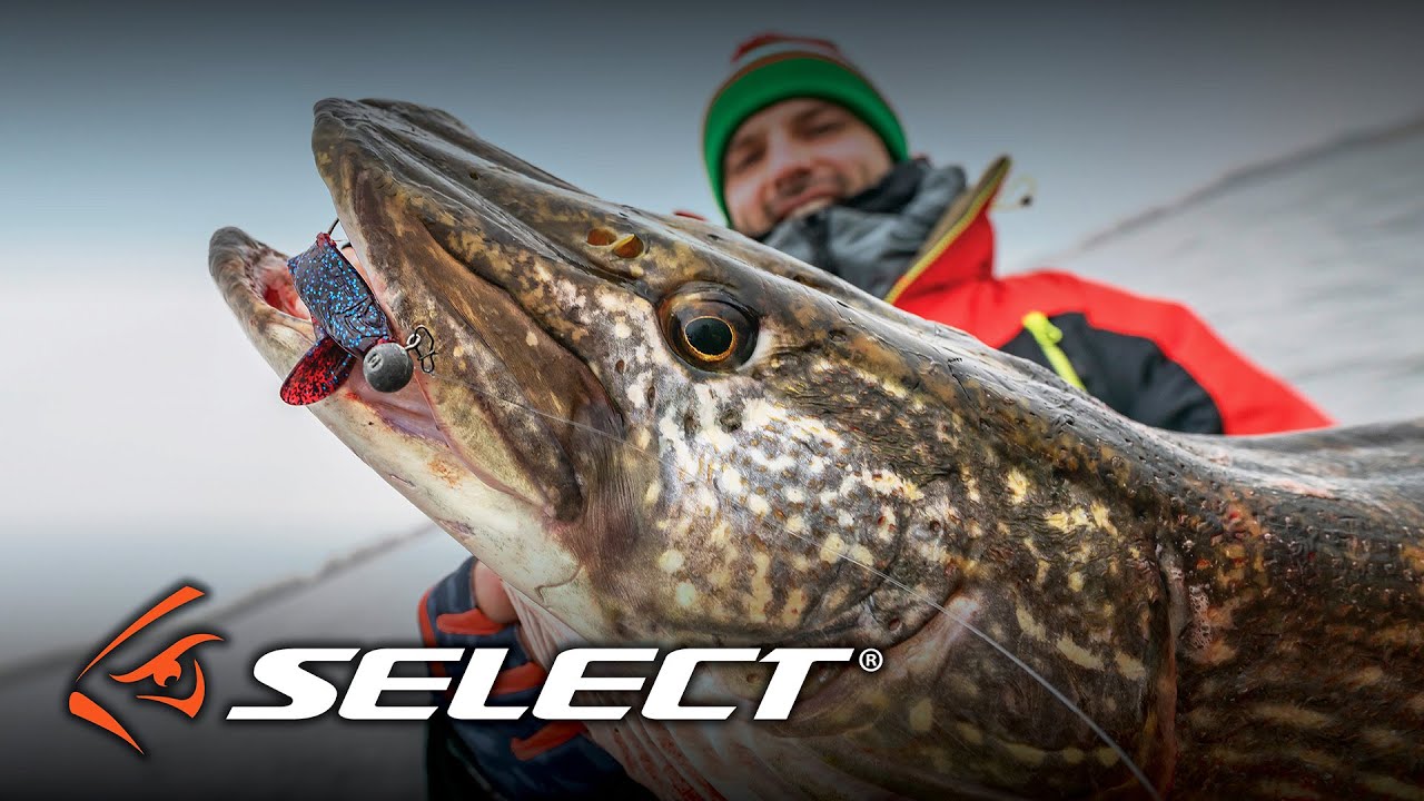 Обзор силикона Select. Приманки Boozer, Freek, Kraken.