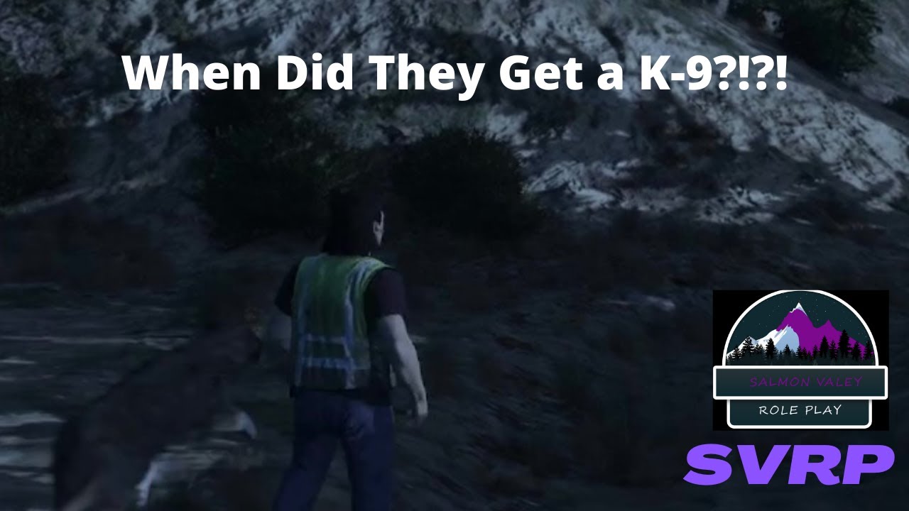 I Didn't Know They Had A K-9! || GTA 5 RP