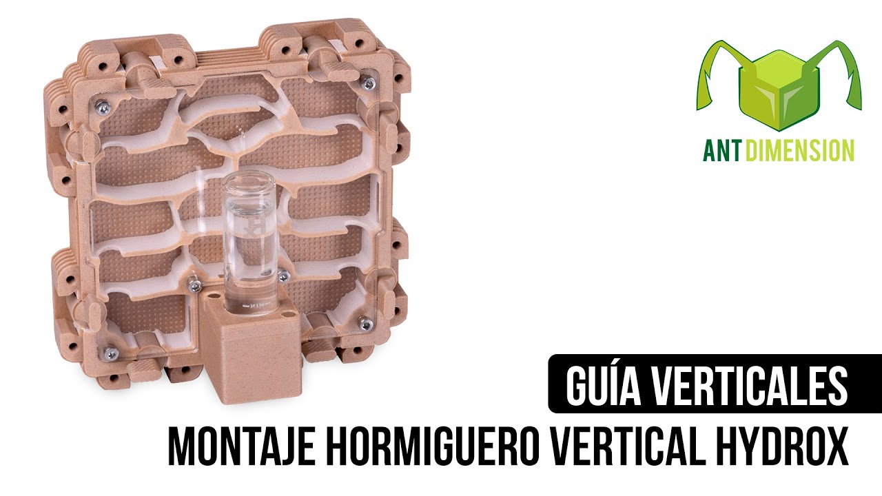 Montaje Hormiguero Vertical HydroX | Ant Dimension