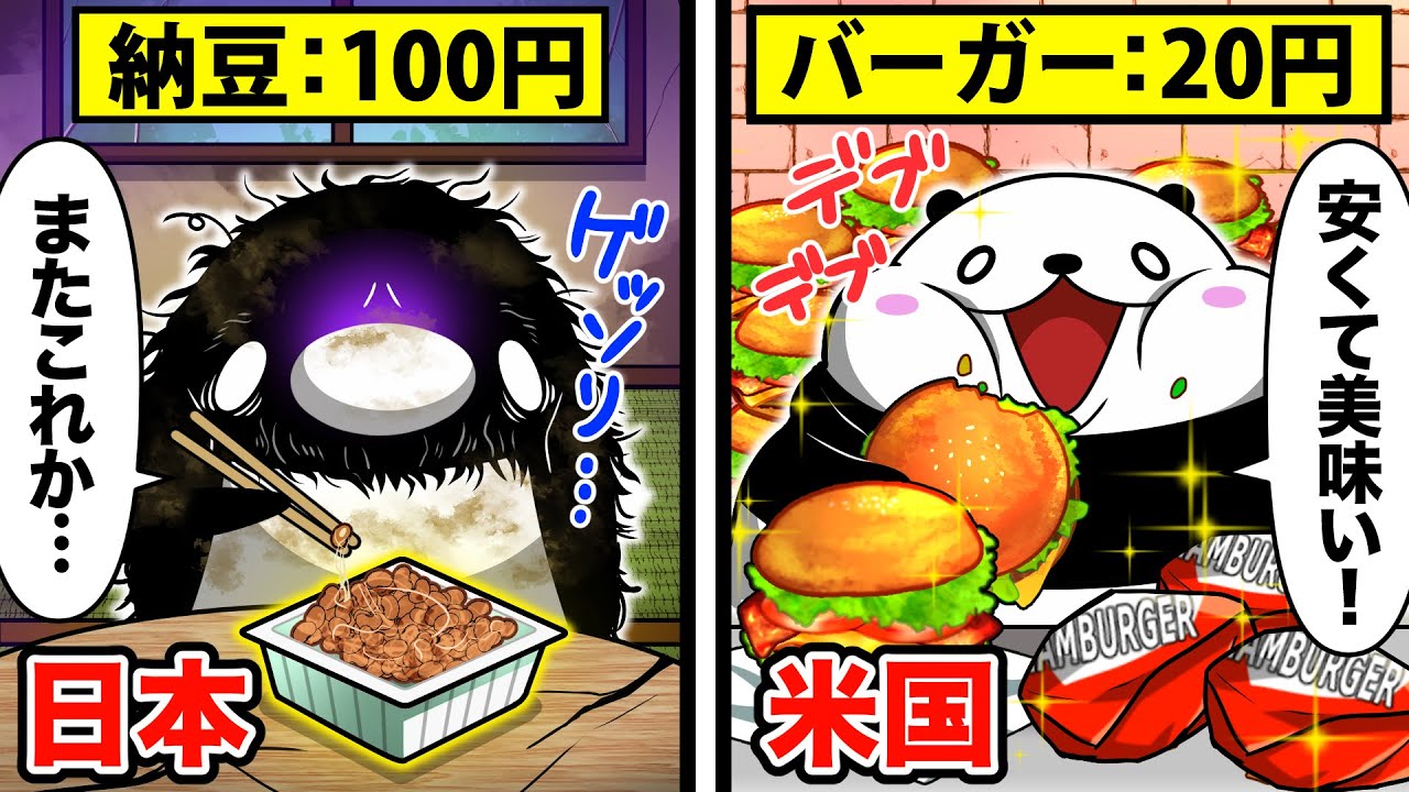 【貧困】日本とアメリカの貧乏人の違い3選【アニメ】