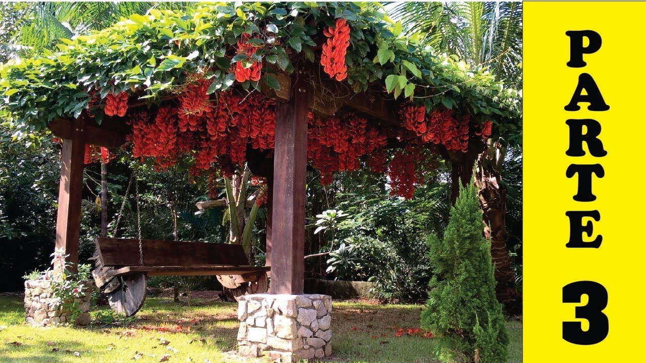 Jade,  Como fazer mudas em Pergolado,  Medidas..Vine, Bindweed, enredadera, trepadora! PARTE 3