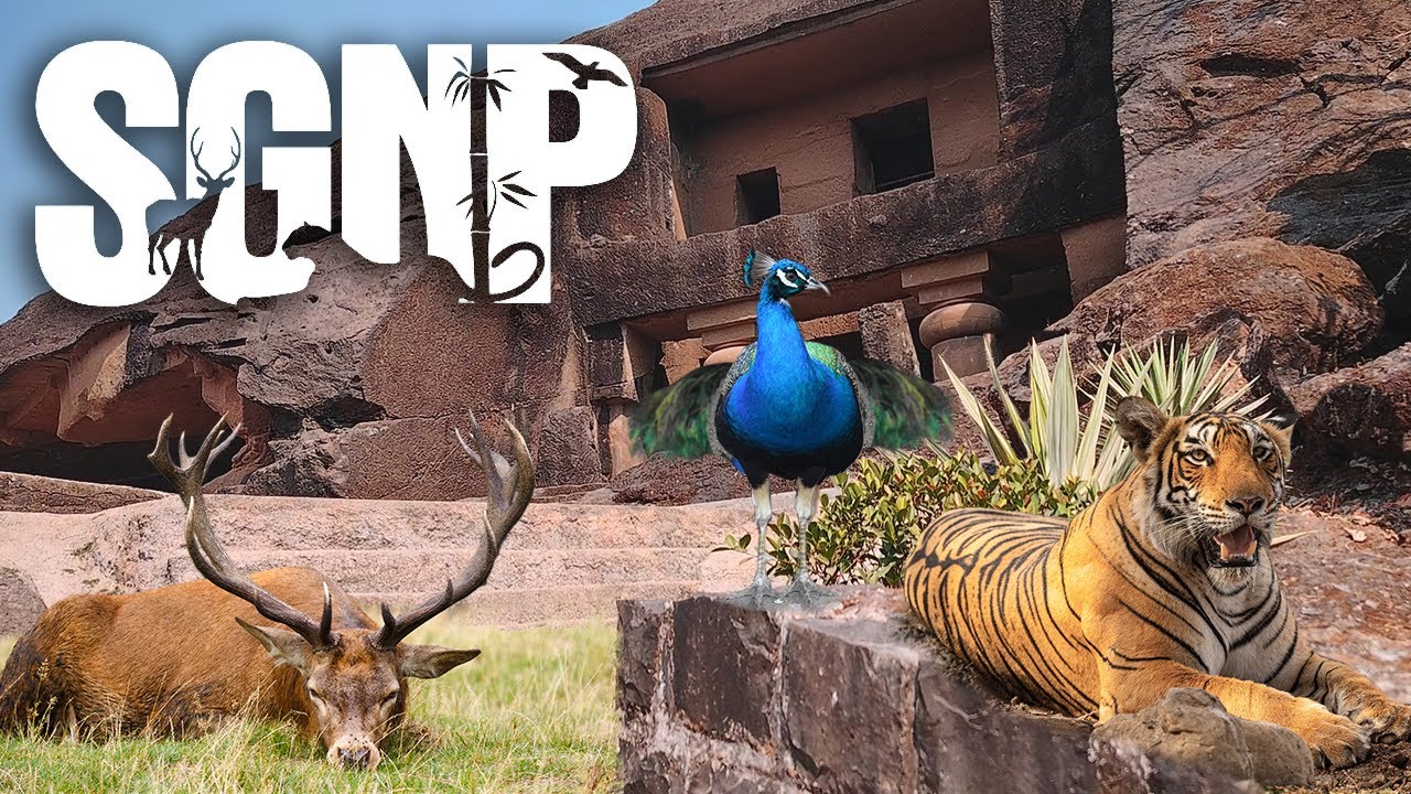 Sanjay Gandhi National Park | A to Z guide | Kanheri Caves | Borivali National Park | One day trip