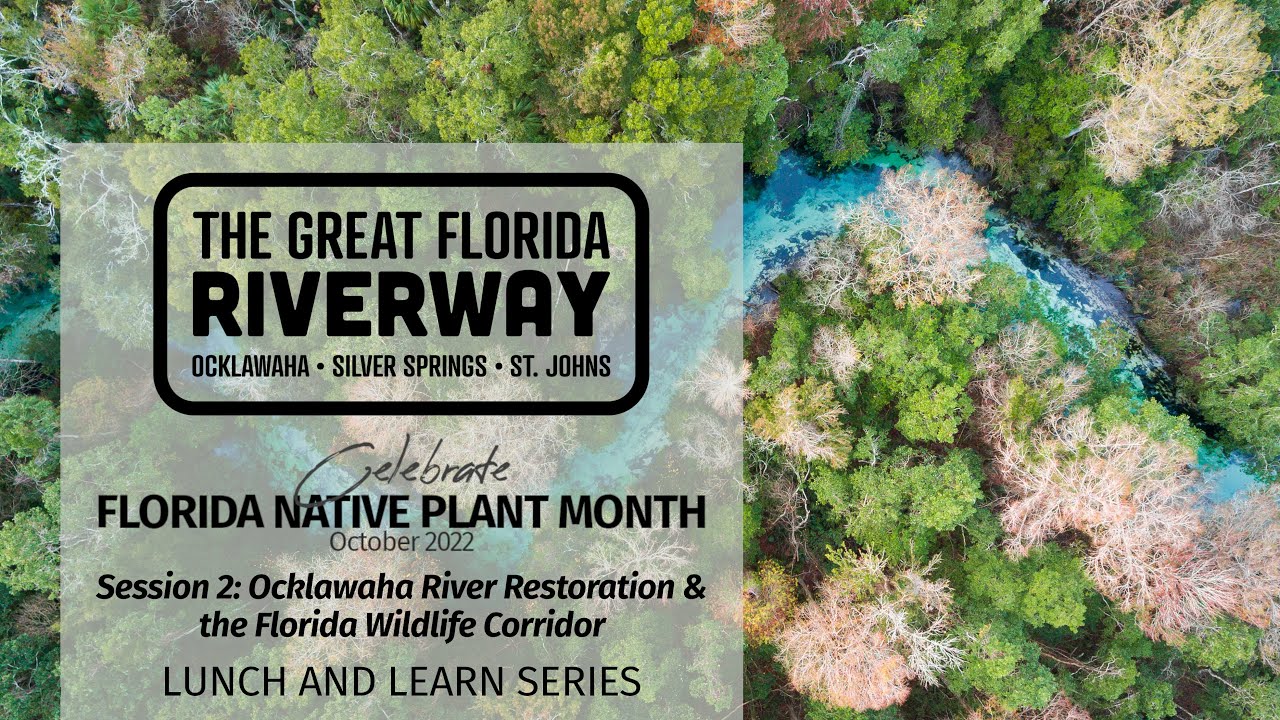The Great Florida Riverway Florida Native Plant Month Series, Ocklawaha Restoration and the Corridor
