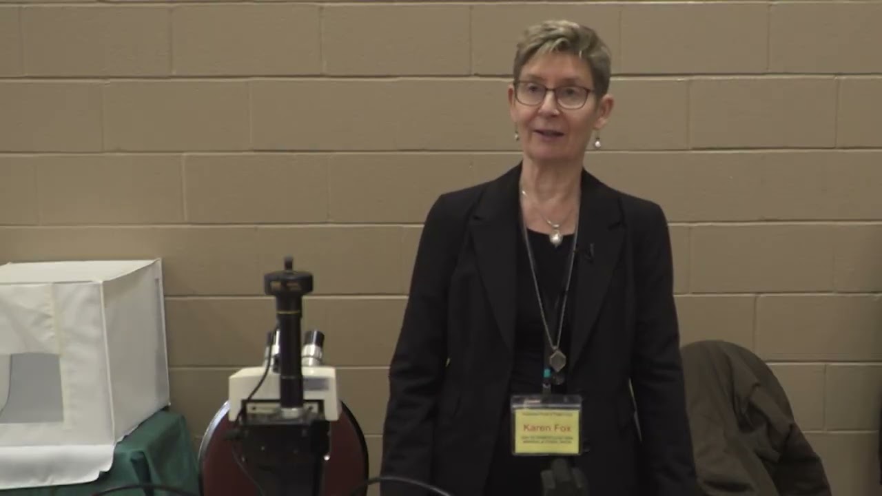 The Hub Ptbo: Gem, Mineral and Fossil Show Feb. 2026