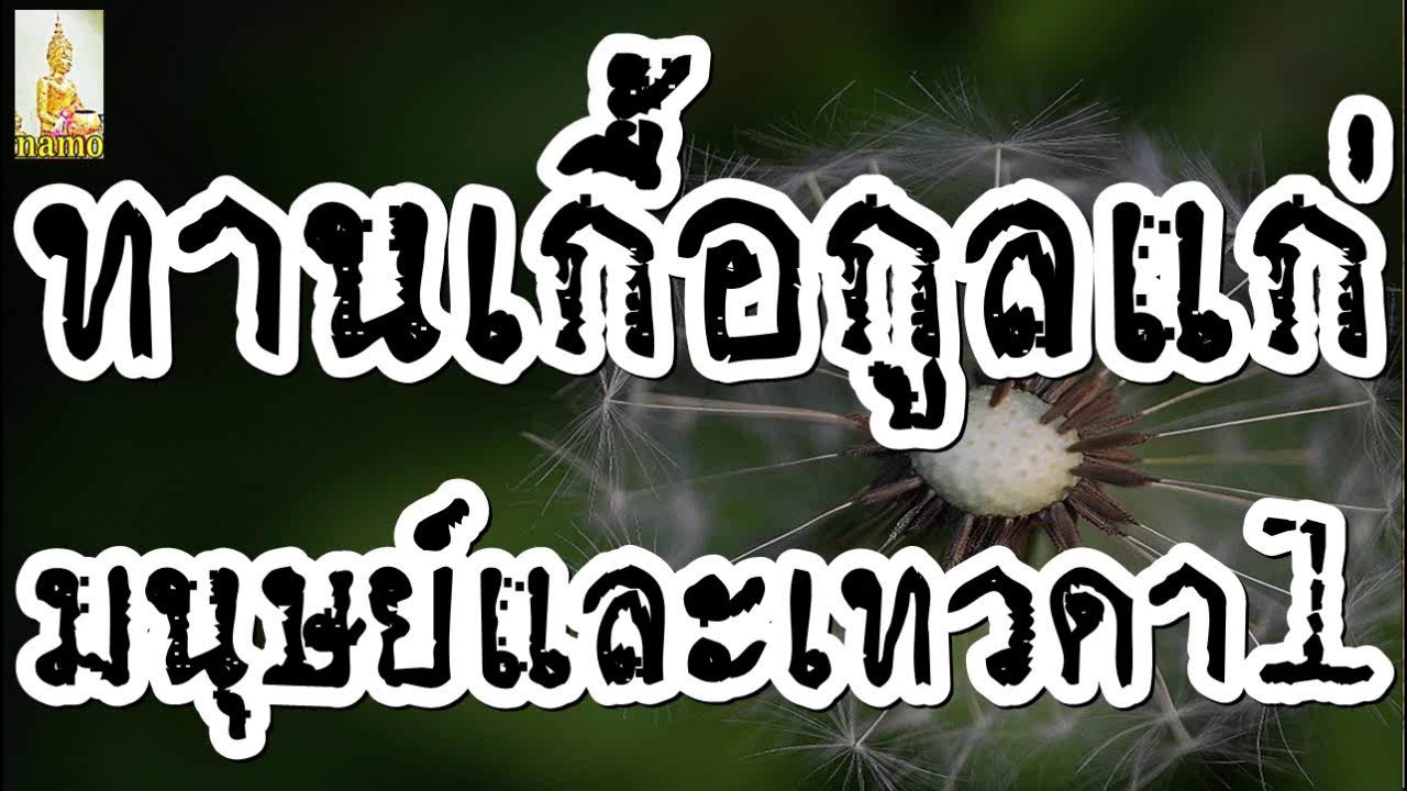 [[ทานเกื้อกูลแก่มนุษย์และเทวดา +1/2  #พระอาจารย์สมภพ #ພຣະອາຈານສົມພົບໂຊຕິປັນໂຍ #วัดไตรสิกขาทลามลตาราม