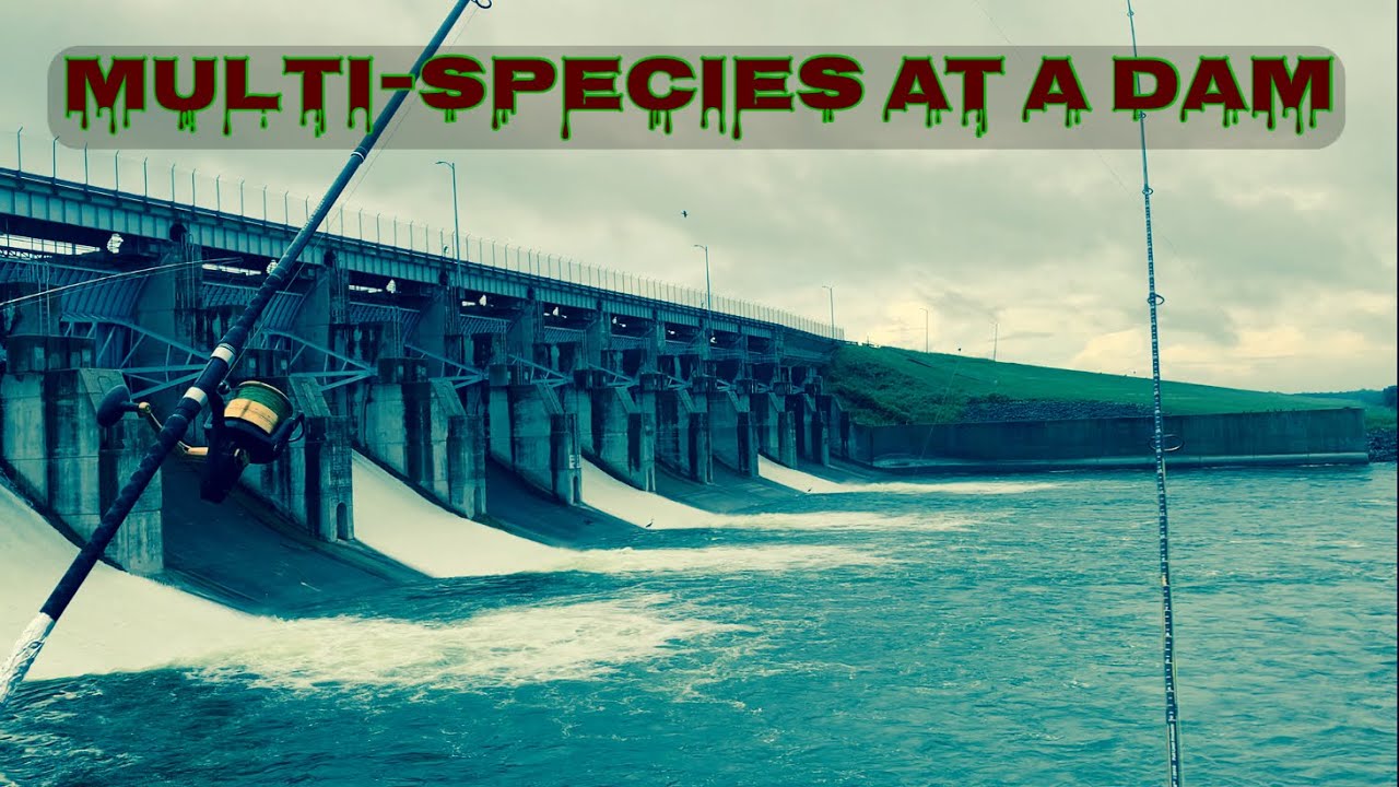 Fishing Lake Lavon Dam for MULTI-SPECIES