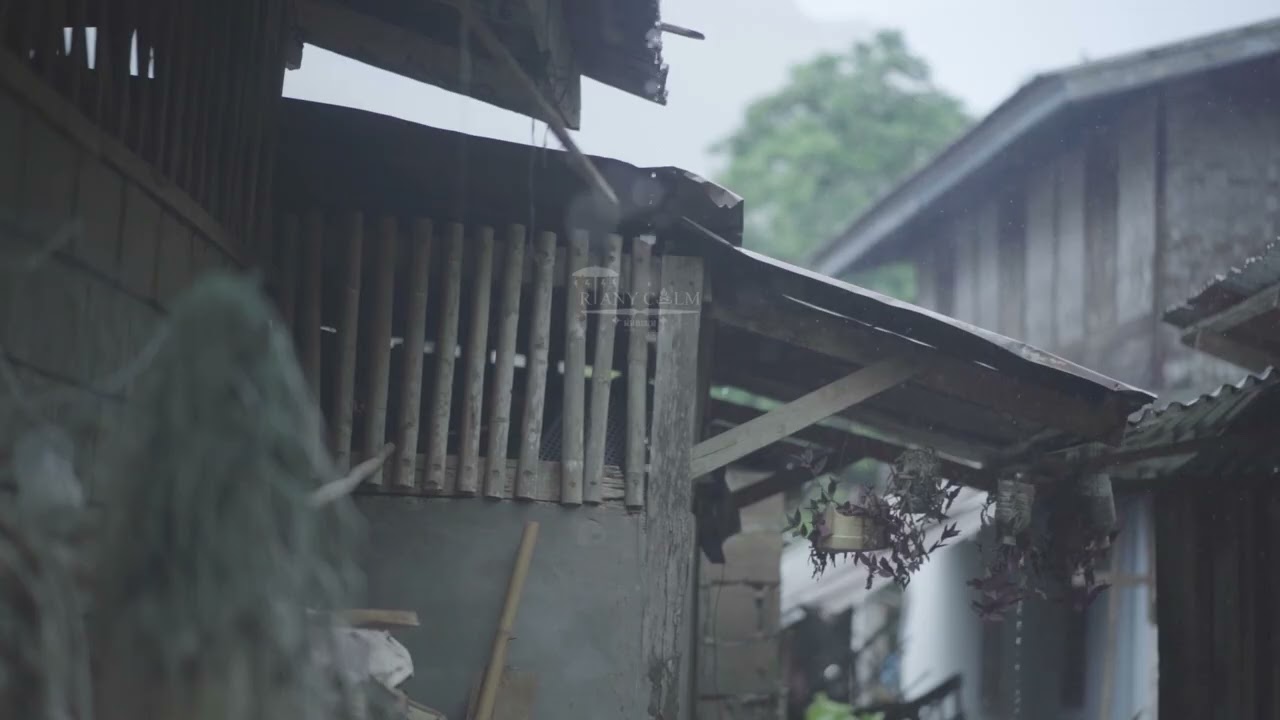 เสียงฝนตกบนหลังคาสังกะสี 5 ชม | หลับลึก ผ่อนคลาย ไม่มีโฆษณา | Tin Roof Rain Sounds for Deep Sleep