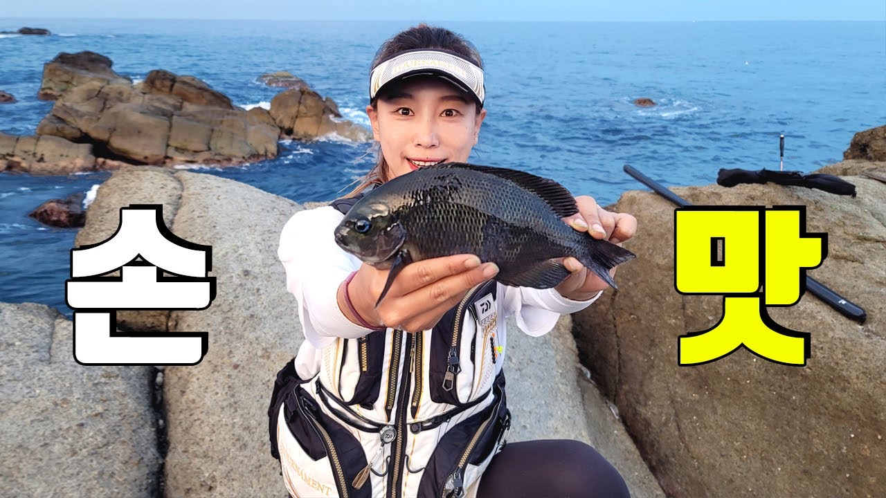 벵에돔 생활낚시 초보자도 쉽게 도전할 수 있는 포항 최고의 낚시포인트! 고급 어종이 바글바글 합니다!
