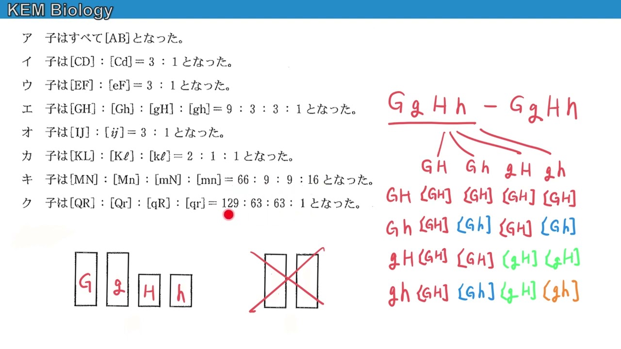 高校生物「順天堂大学2019大問2 問4」