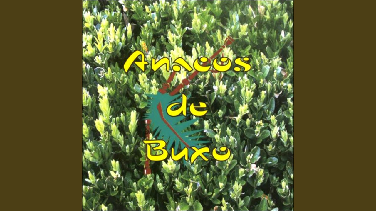 Foliada Da Insua