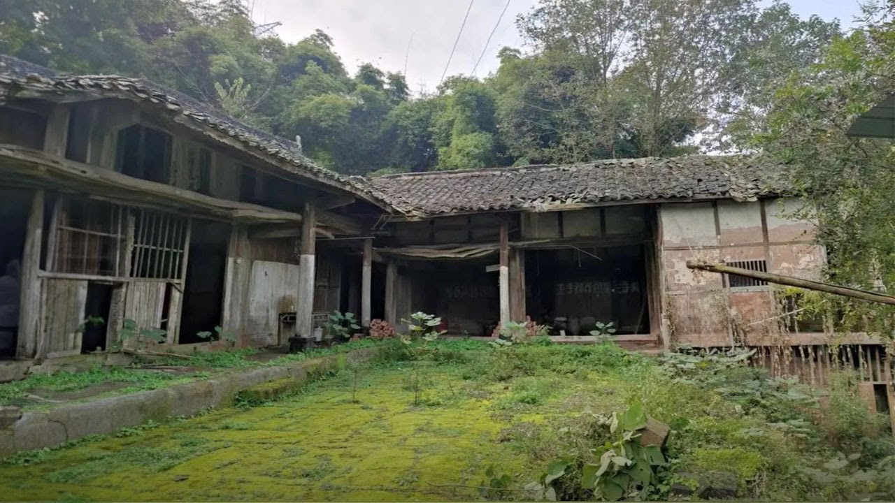 After divorce, Genius Girl Renovation abandoned house and lives freely with dogs | Start to Finish 2