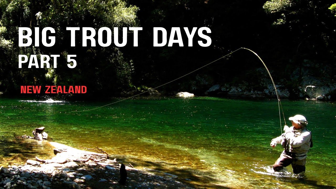 Big trout days, part 5