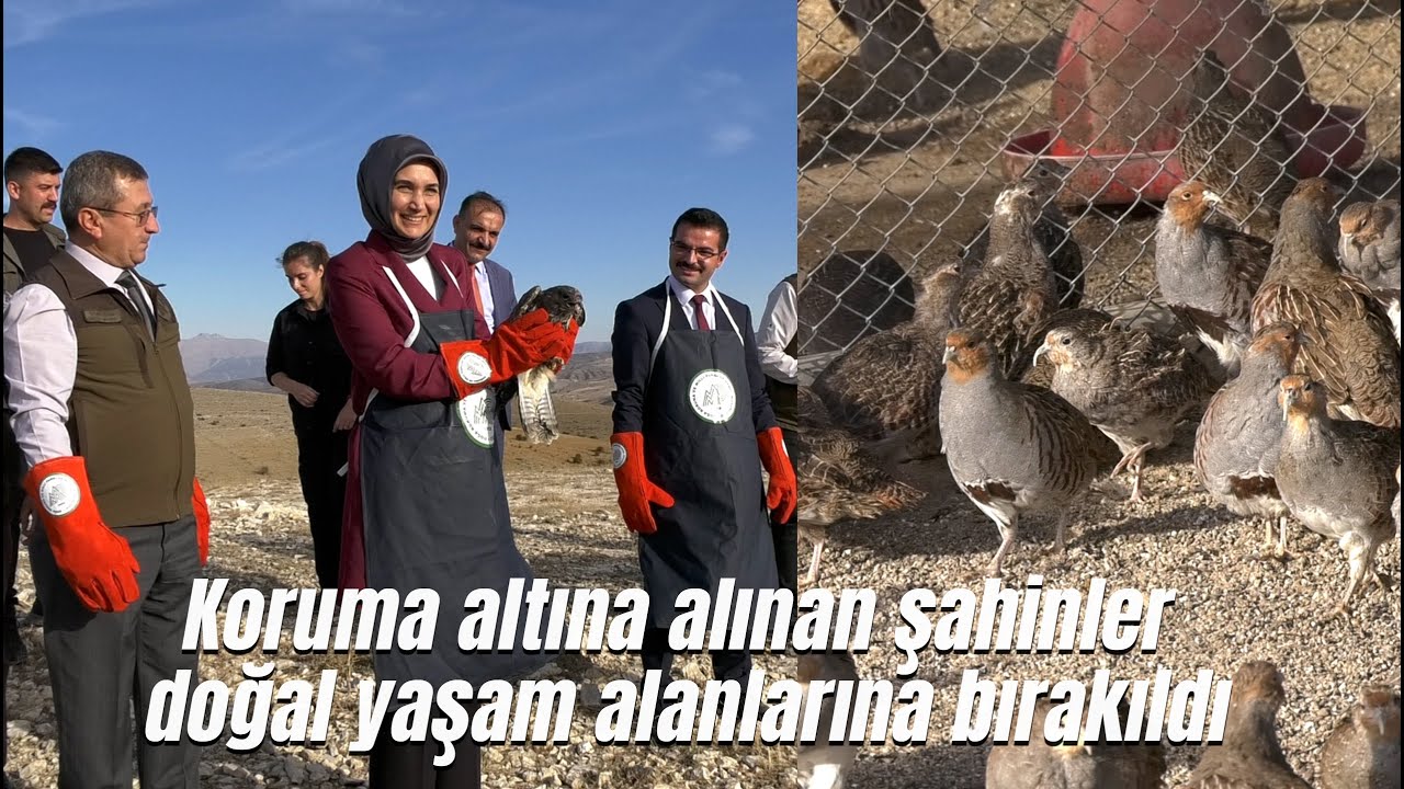 Vali Yiğitbaşı Şuhut Keklik Üretim Çiftliğini ziyaret etti