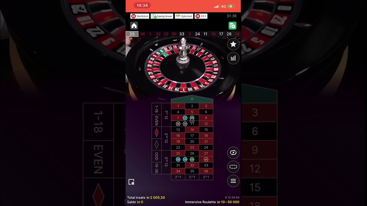 Lucky Player Wins Big on Immersive Roulette