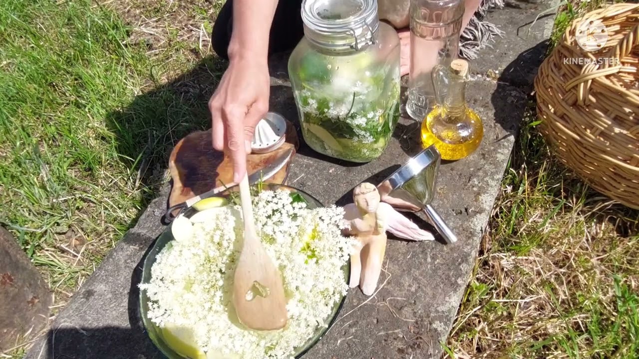 de kruidenheksen maken vlierbloesem limonade, nieuwe stijl 💚