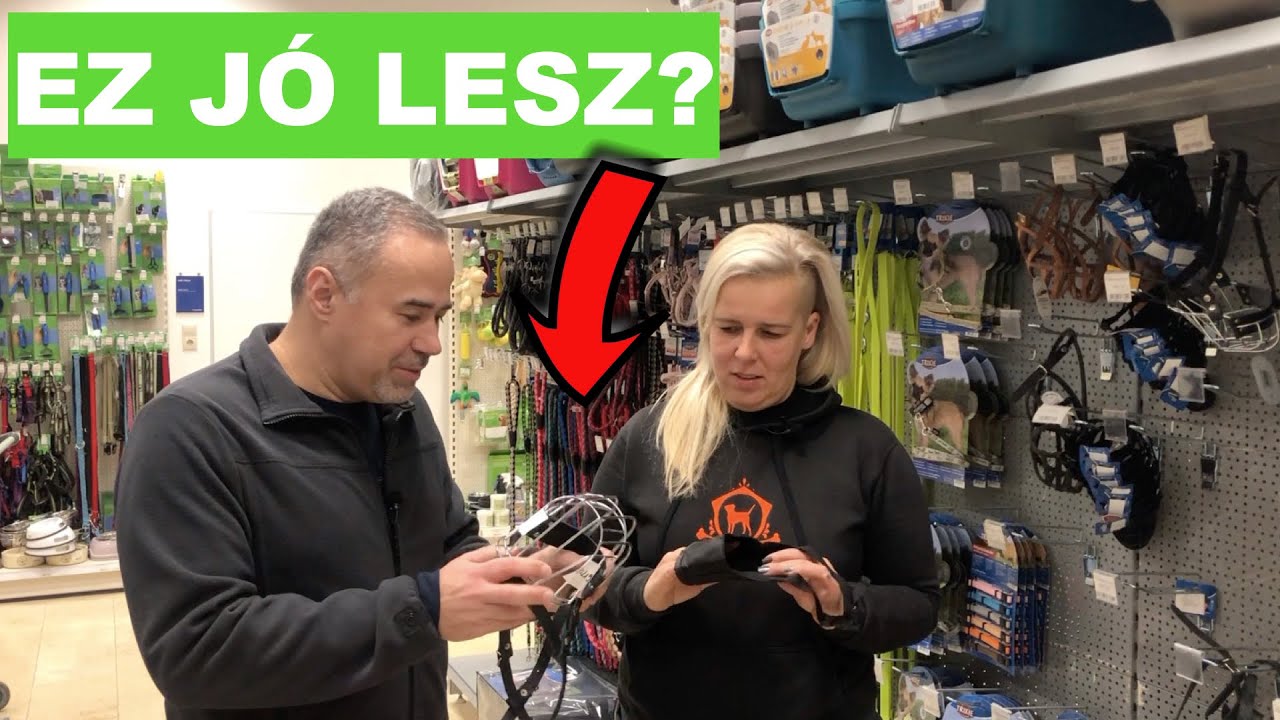 Elmentünk bevásárolni az új kutyának - apró cuccok, szájkosár