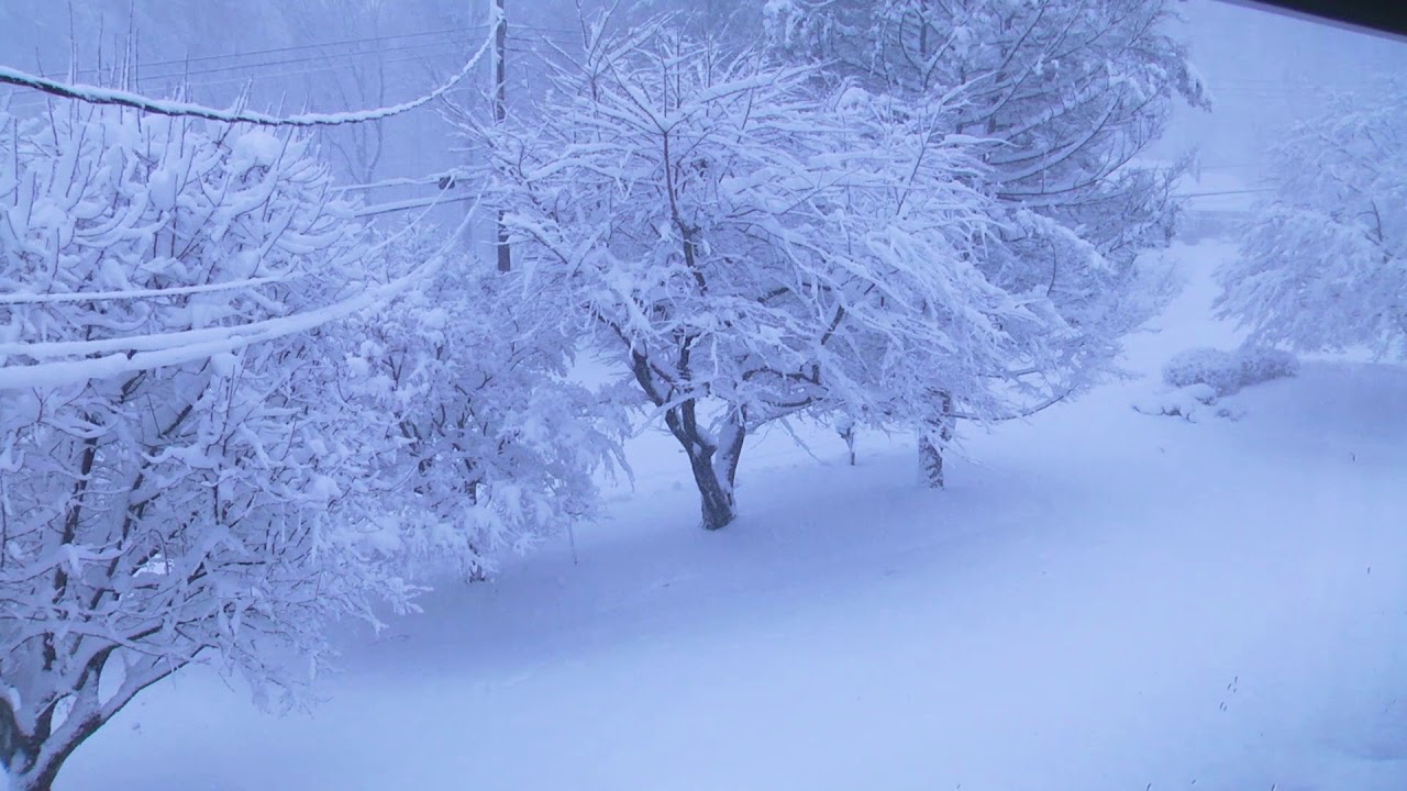 Snowstorm Time-lapse (March 7, 2018)