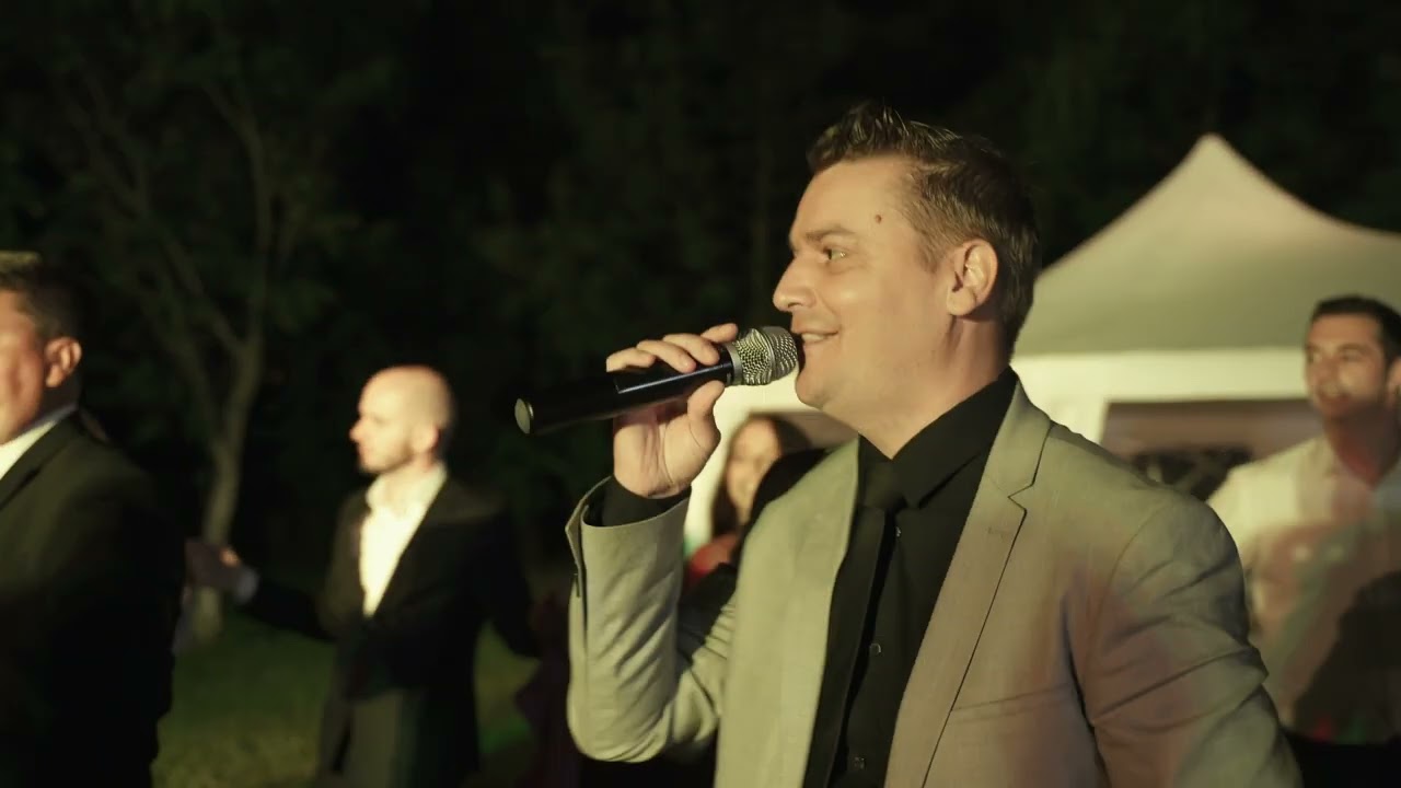Paul Alimăreanu - Program Live - Nuntă Denisa și Alexandru
