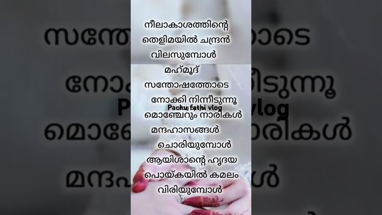Lyrics mappilappatt song#malayalam#shorts feed#shorts video#viral song💫