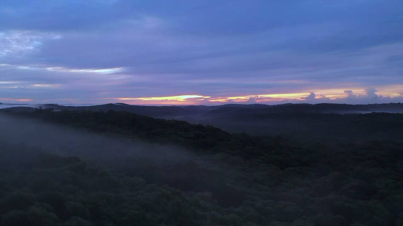 Drone flying over a misty and foggy forest during sunrise, Australia