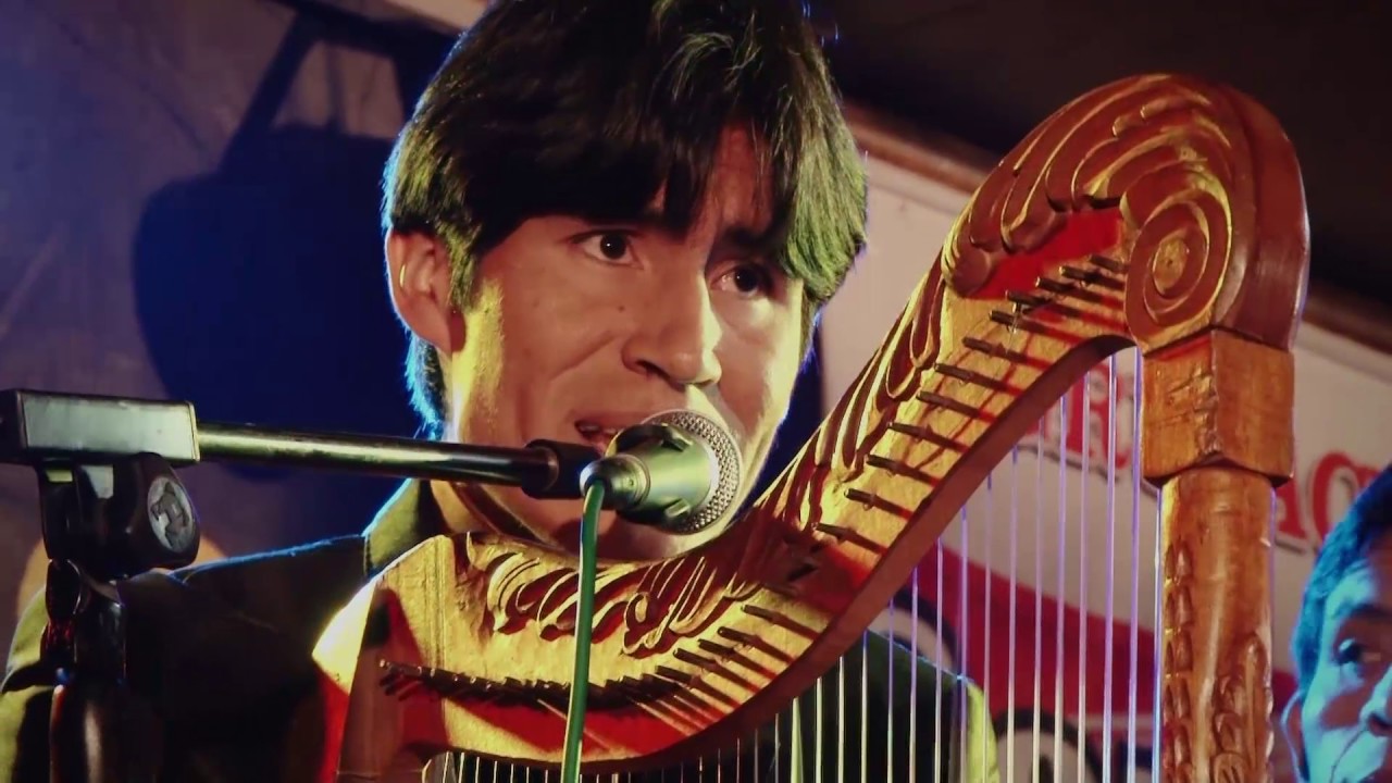 MIGUEL SALAS / el alisal