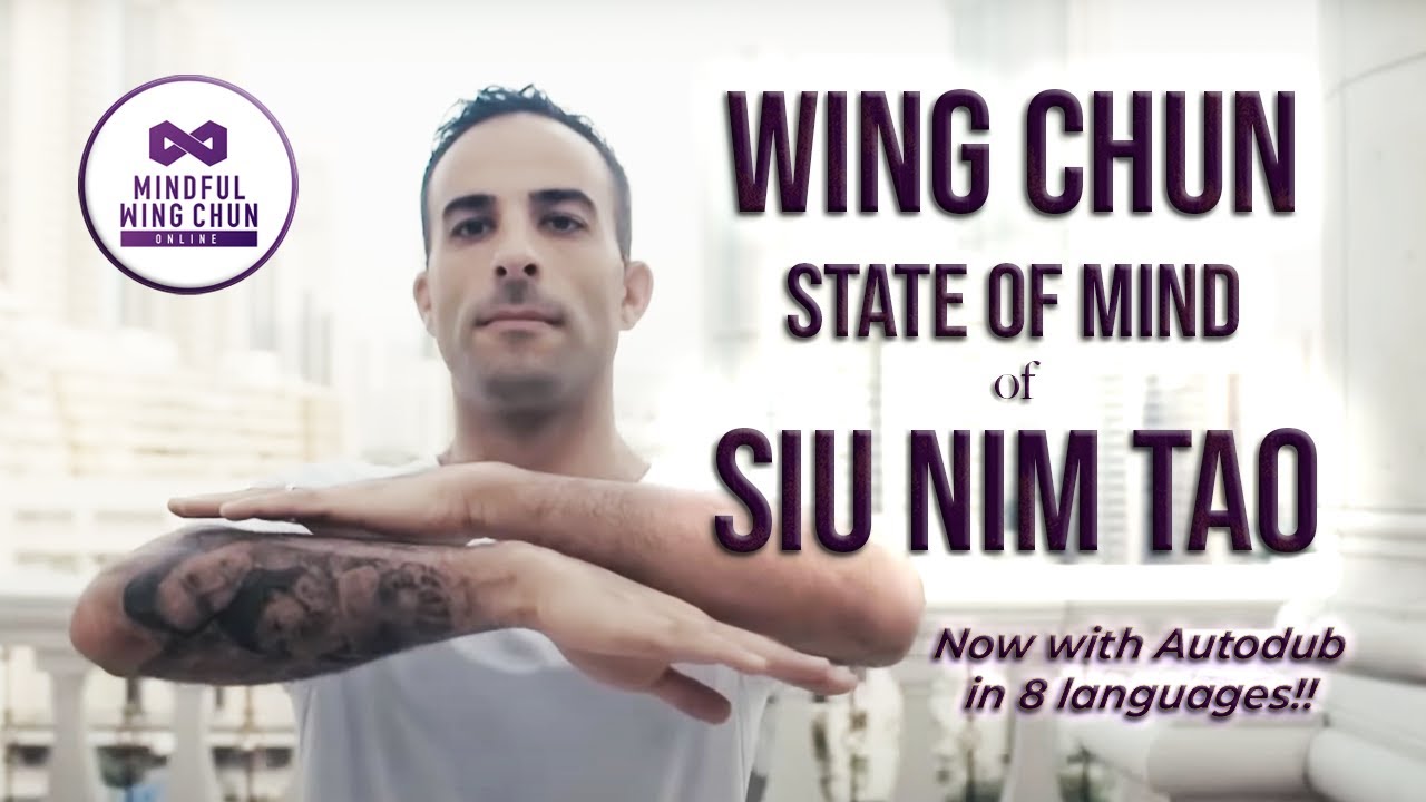 Wing Chun's 1st Form Described - Siu Nim Tao (AKA Siu Lim Tao)